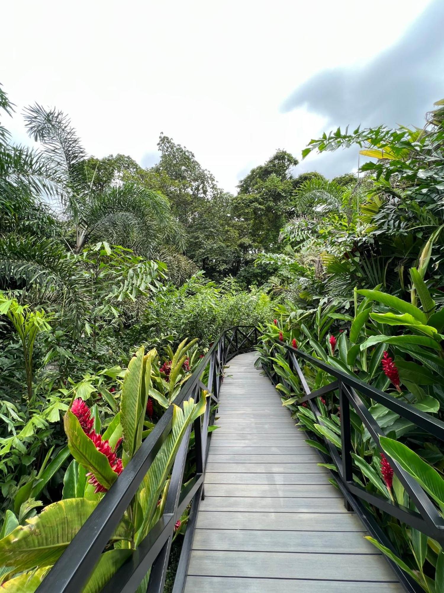Hotel Boutique Casa Del Rio La Fortuna Exteriör bild