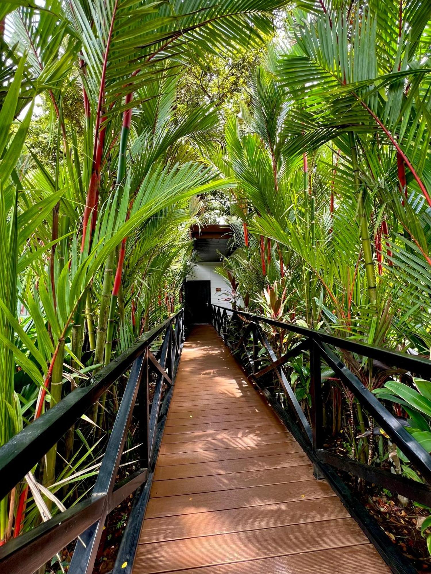 Hotel Boutique Casa Del Rio La Fortuna Exteriör bild